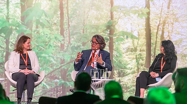 three people sat on chairs on a stage with a forest backdrop having a discussion